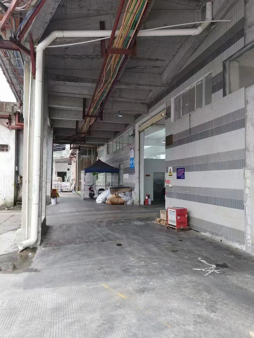 广州新塘一楼标准厂房仓库出租可分租滴水7米可做加工可办环评