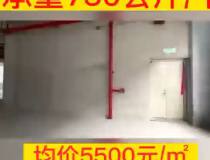 惠阳大亚湾全新50年红本产权7500平独栋厂房出售
