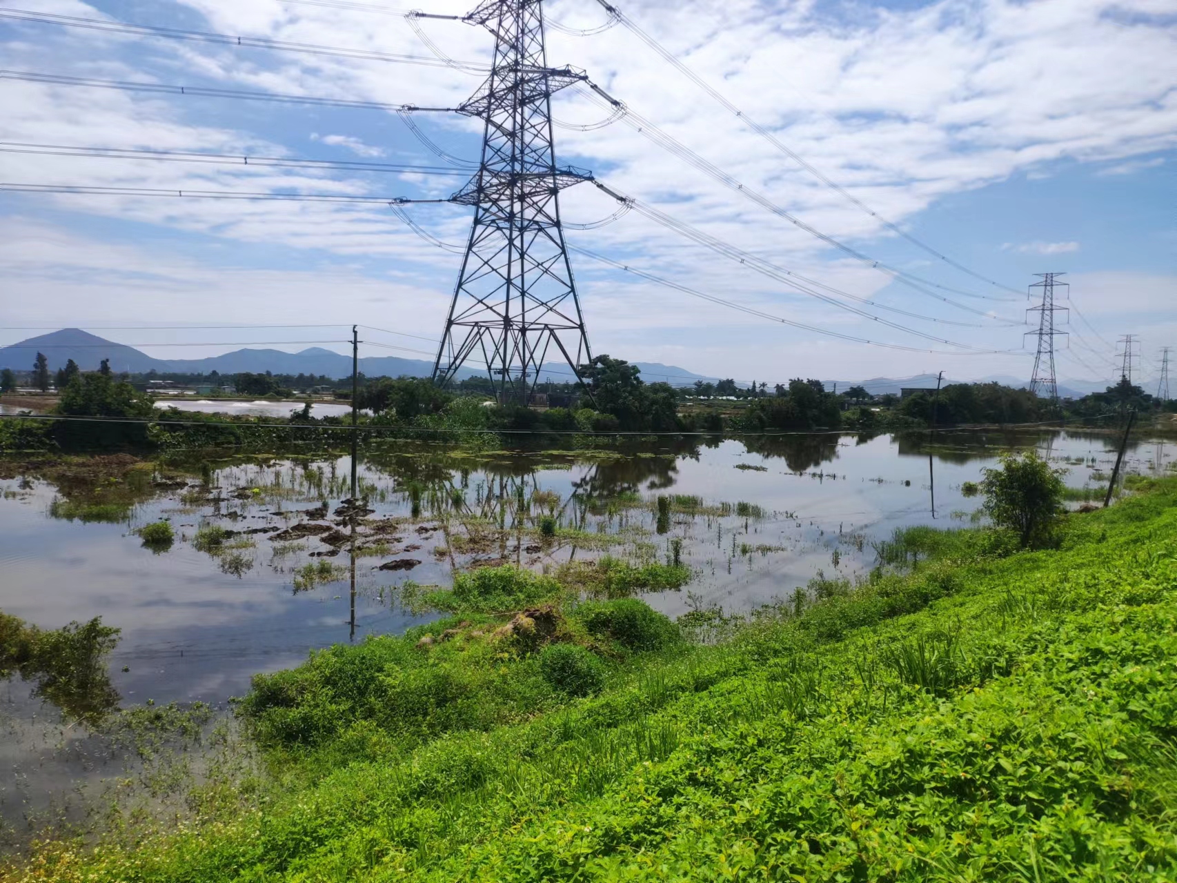 中山市板芙镇个人农业用地出租、按亩一年、价格实惠1