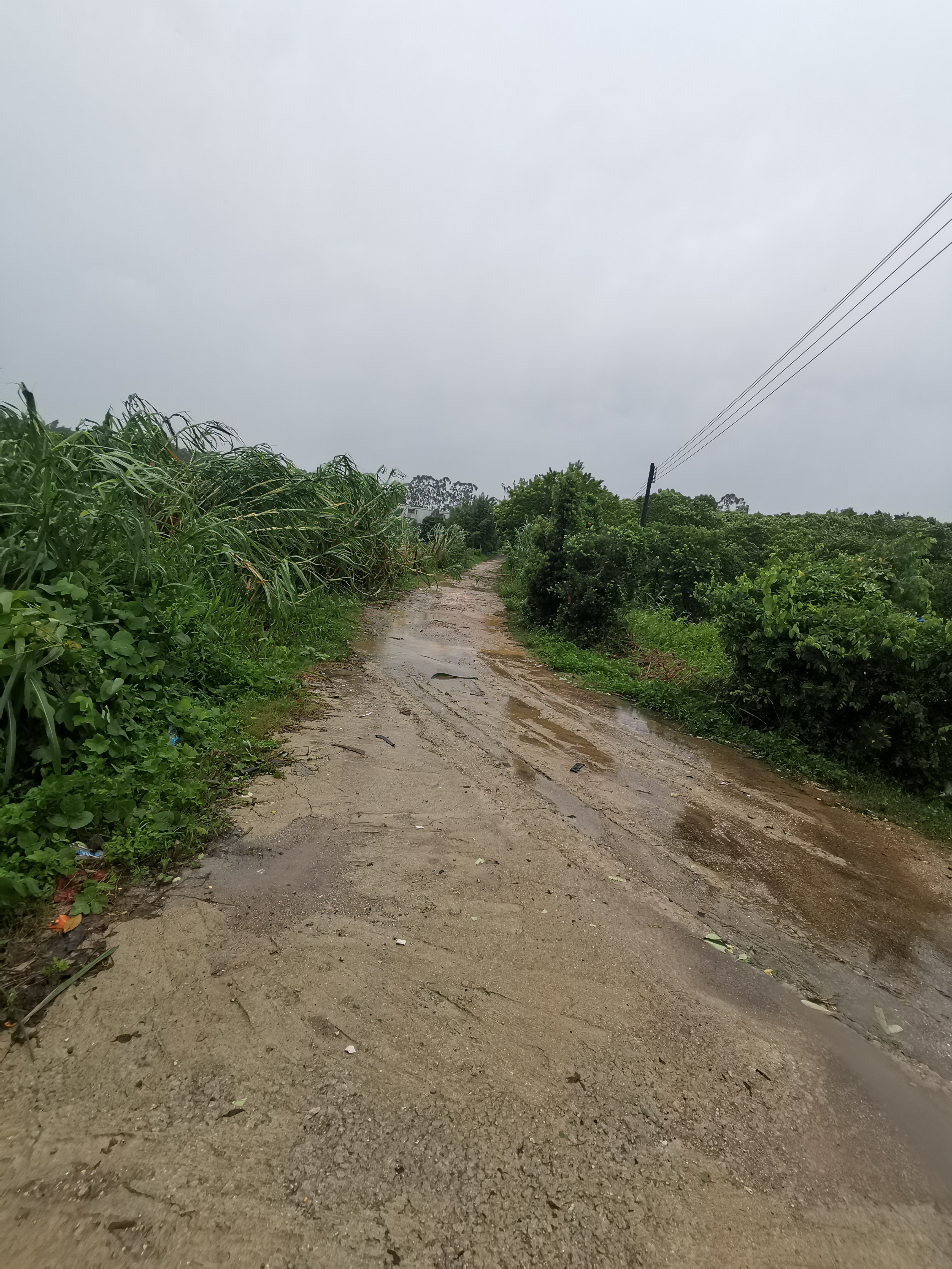 台山市四九镇工业区89亩红本地皮出售1