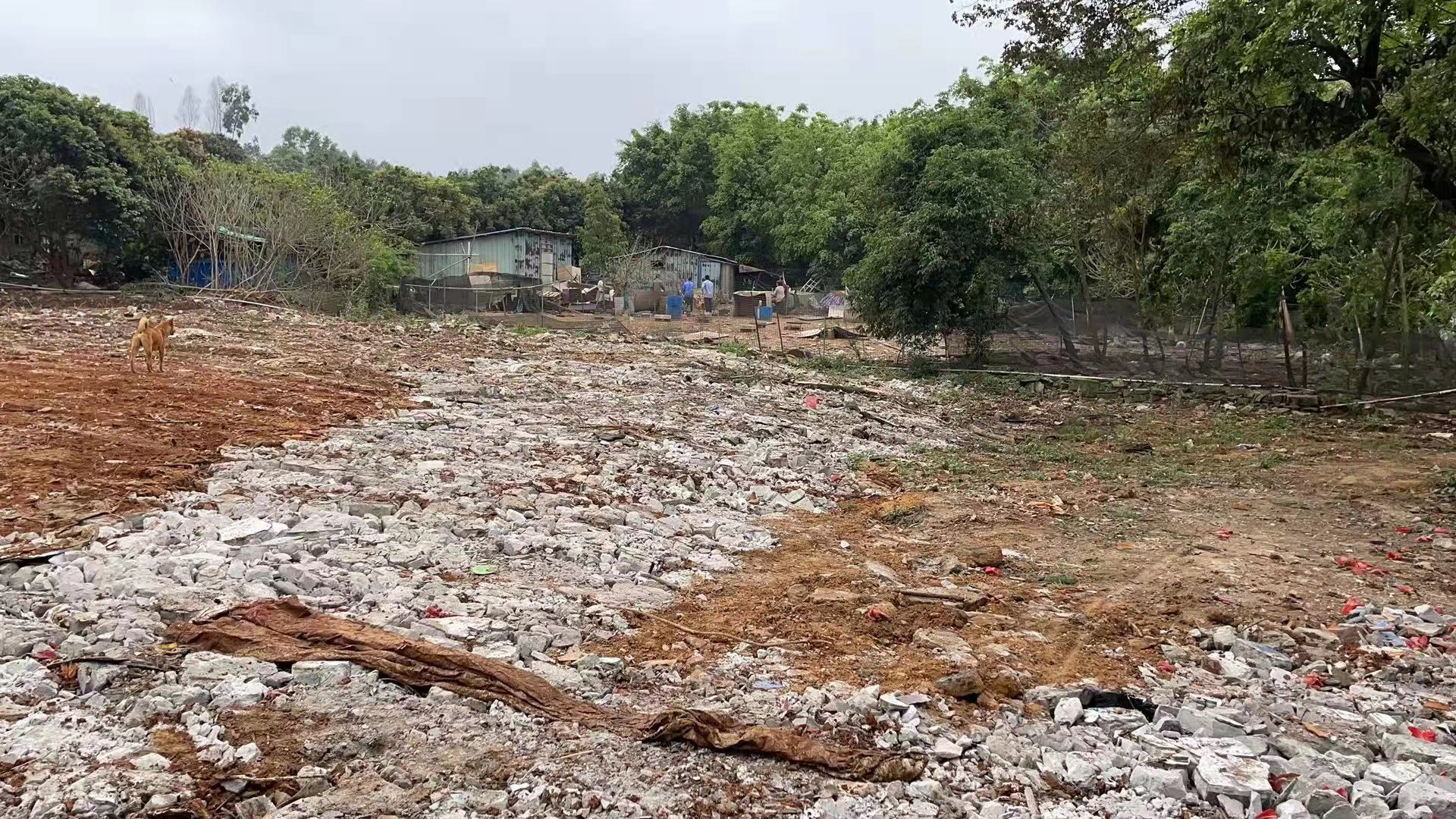 惠阳区新圩塘吓可做物流运输建材存储可做硬化和房东谈空地出租2