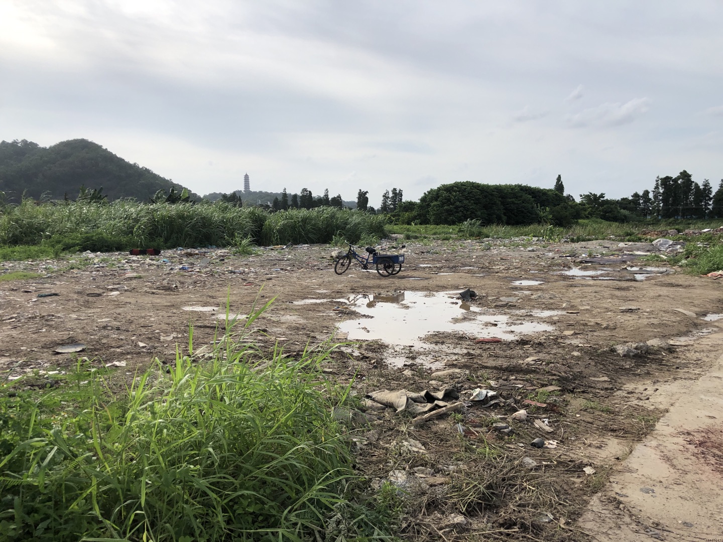 广东省中山市黄圃镇空地出租12亩2