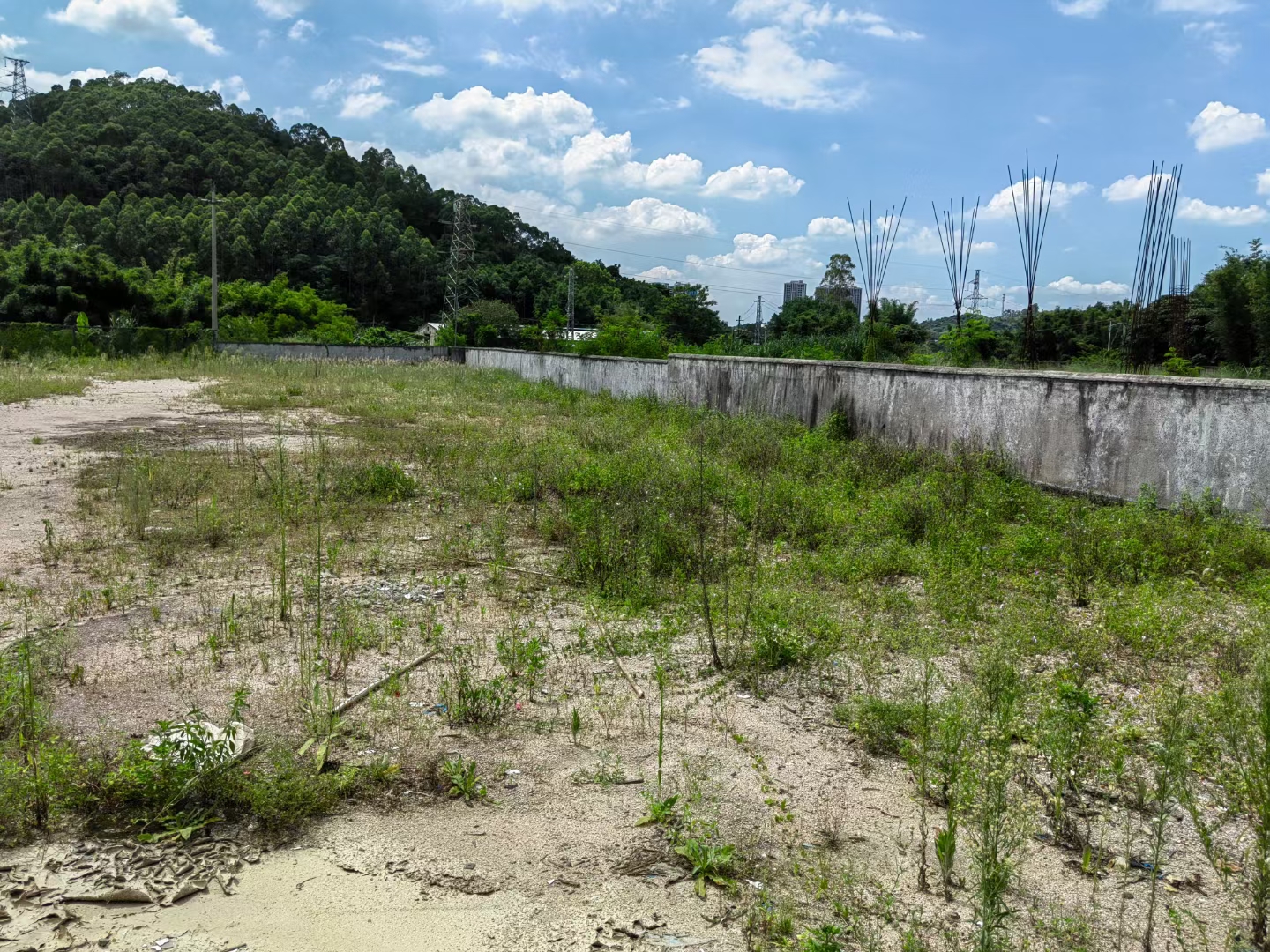 惠阳区镇隆镇空地1000平低价出租1