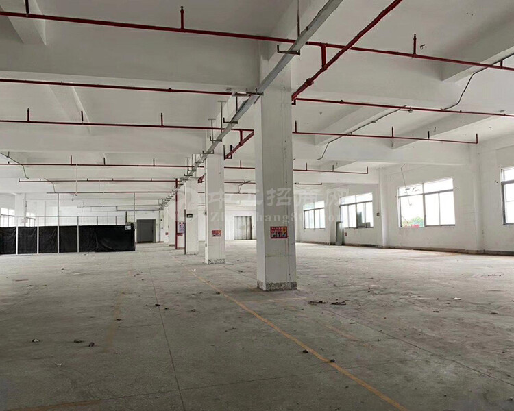 惠东大岭原房东工业园标准厂房写字楼一楼1500平方出租！！！
