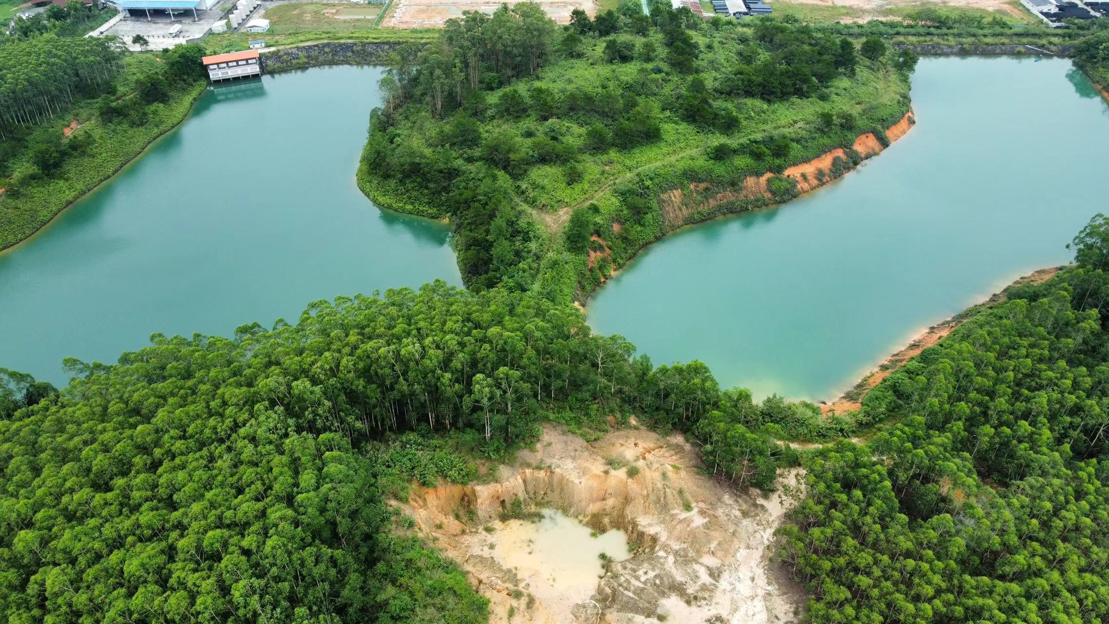 高明区明城镇原房东200亩山地2