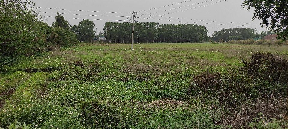 清城区石角镇低价土地出租农业用地国道旁边村集体耕地价格低可谈1