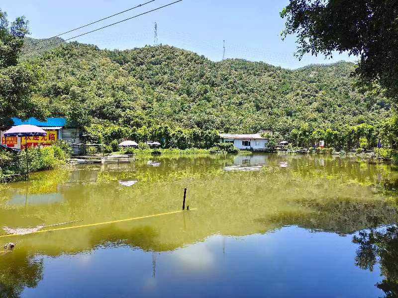 高明区原房东农庄出租6