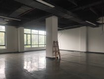 黄埔区南岗精装修小面积办公室80到230平米出租