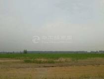 绝版土地！深圳100亩国有一手红本50年限土地出售20亩起售