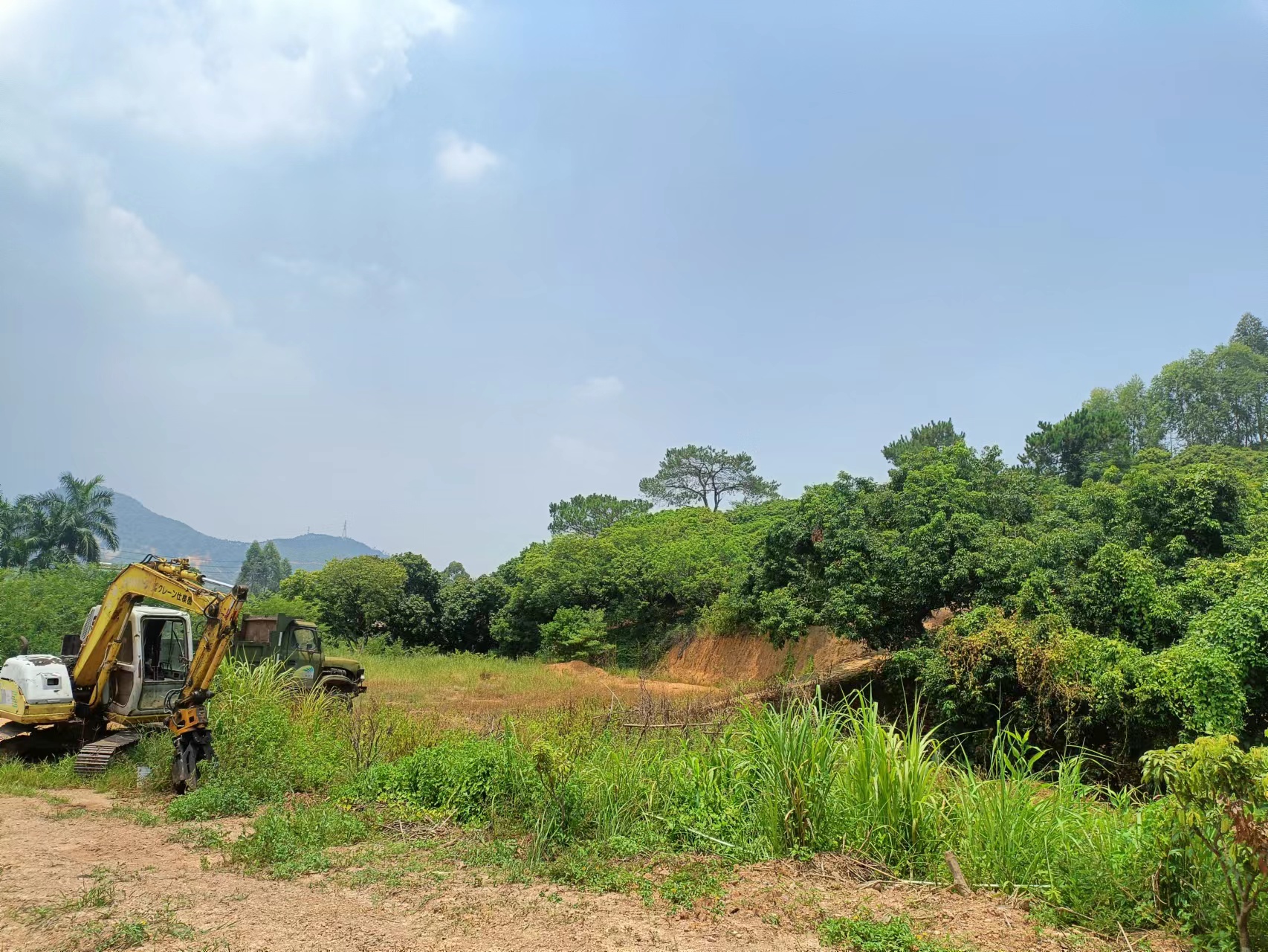 惠阳区镇隆镇原房东个人空地1