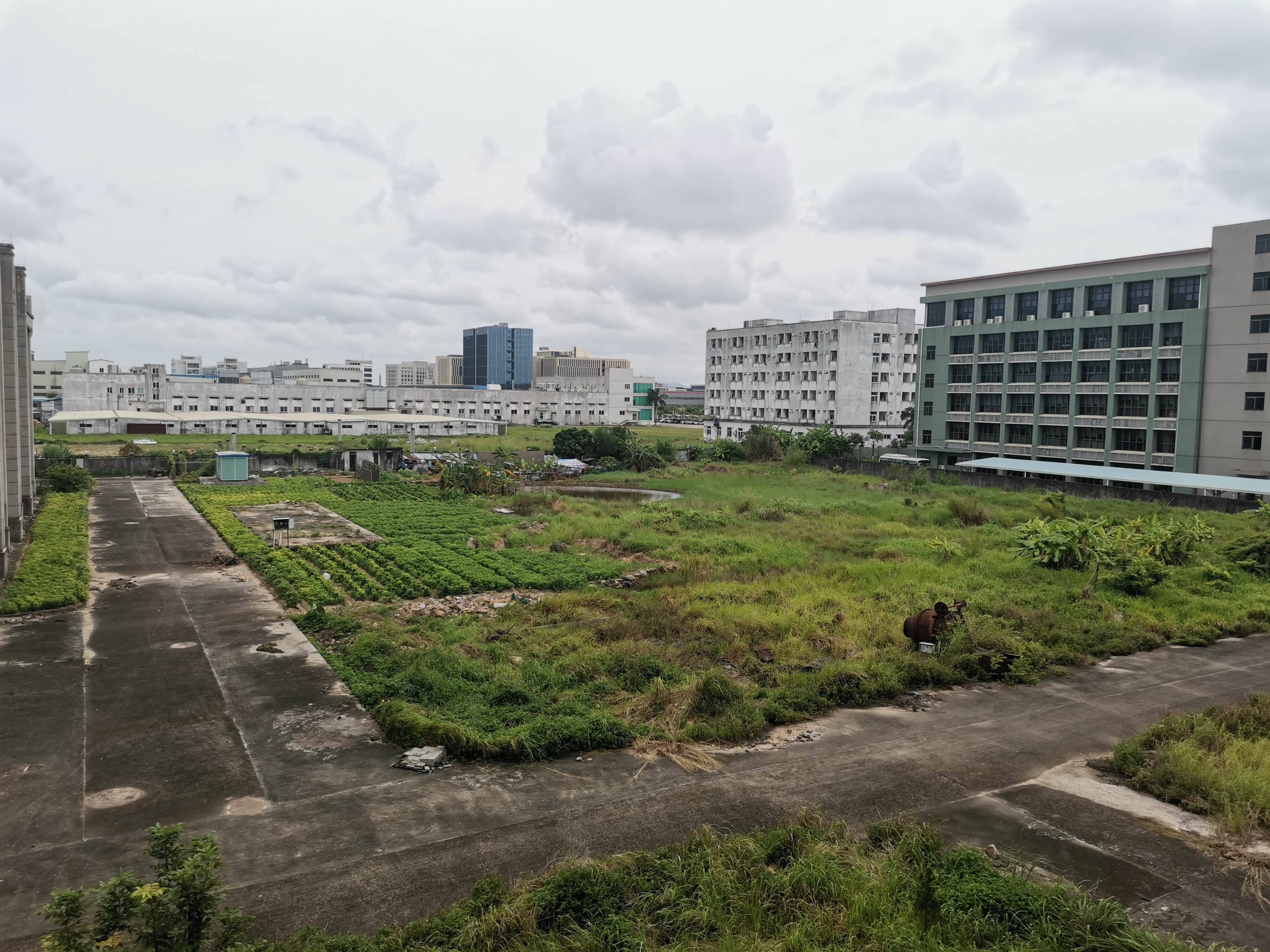 珠海市金湾区红旗占地39亩红本地皮出售1