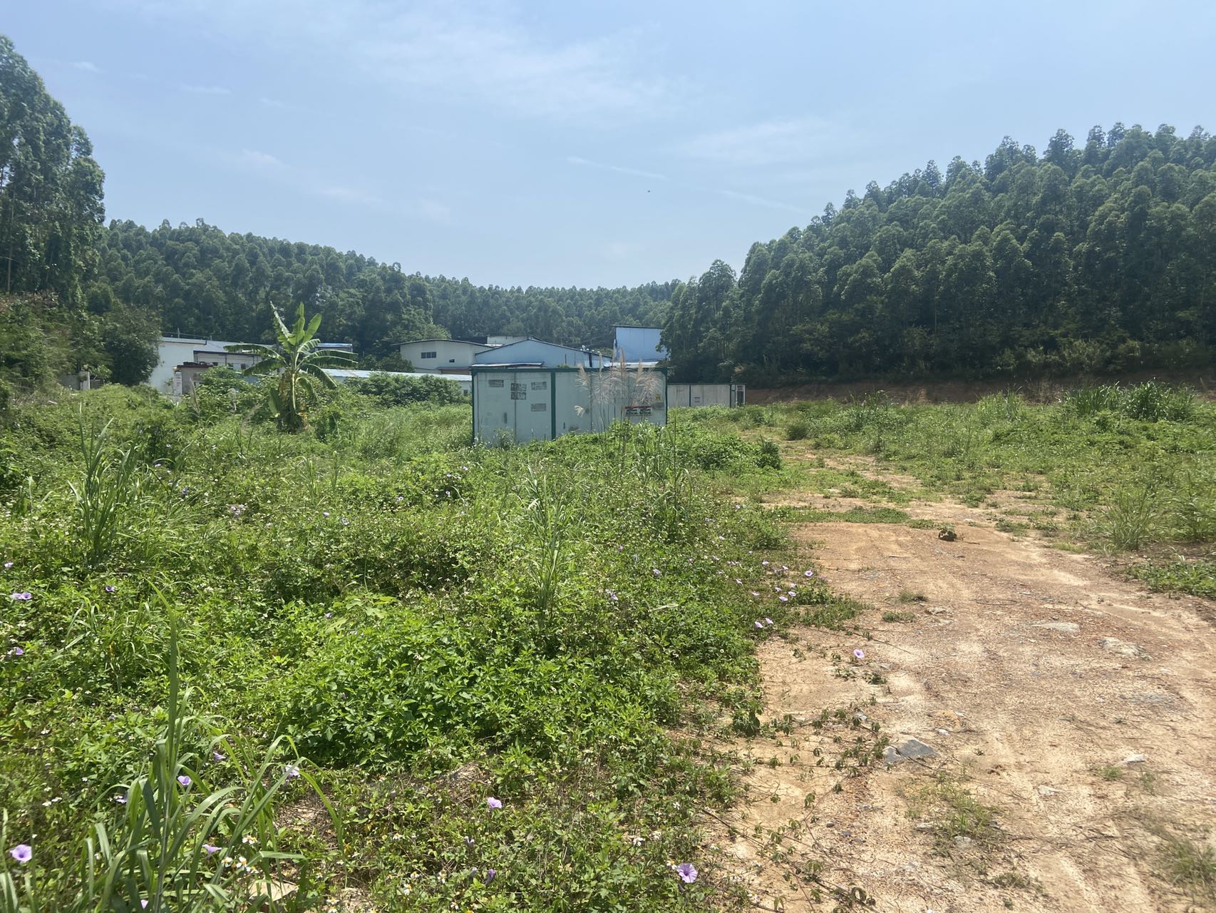 清远市清城区石角镇兴仁工业用地，可定建可自建的地皮出租3