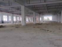 九江镇沙头工业园全新标准独门独院全新厂房，形象好、空地大