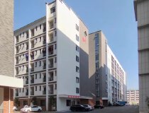 惠阳镇隆独栋全新厂房出租，楼房一楼。