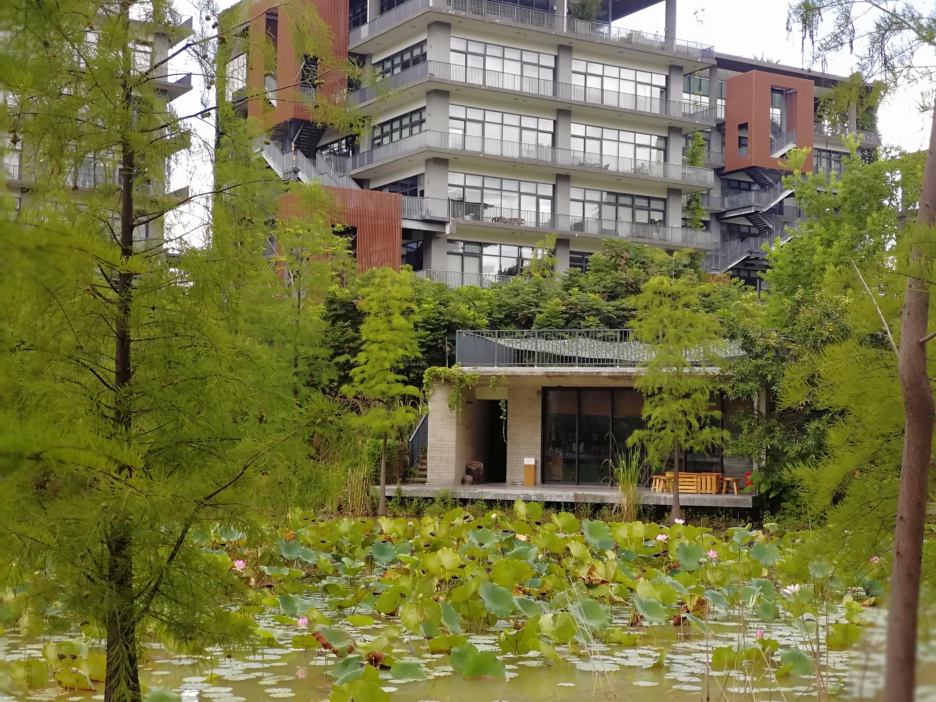 西乡固戍地铁口全湖景花园式高端大气上档次815平米写字楼出租5