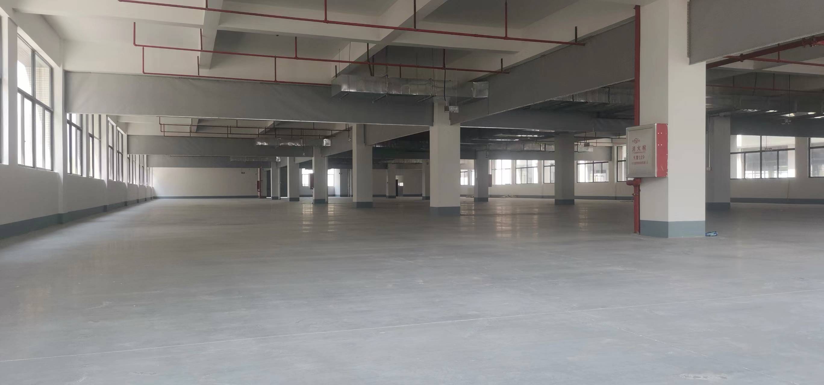 惠阳镇隆独栋全新厂房出租，使用率高，形象好。