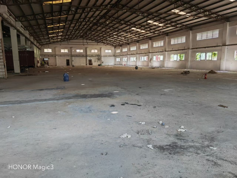 虎门新出单一层钢构独门独院