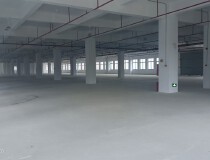 惠阳镇隆独栋全新厂房，写字楼，出租。。。