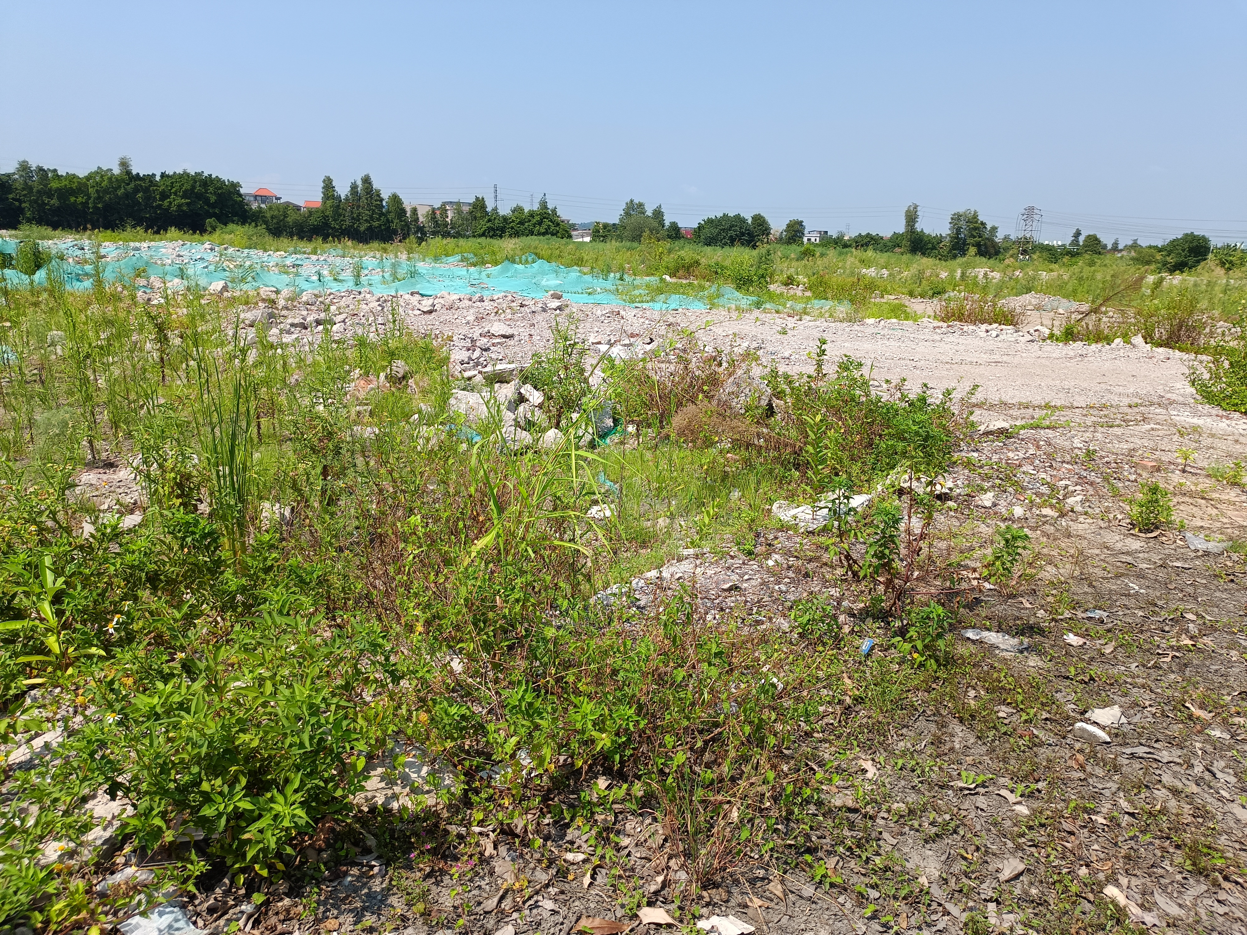 北滘地皮出售120亩国有证土地证件齐全手续齐全