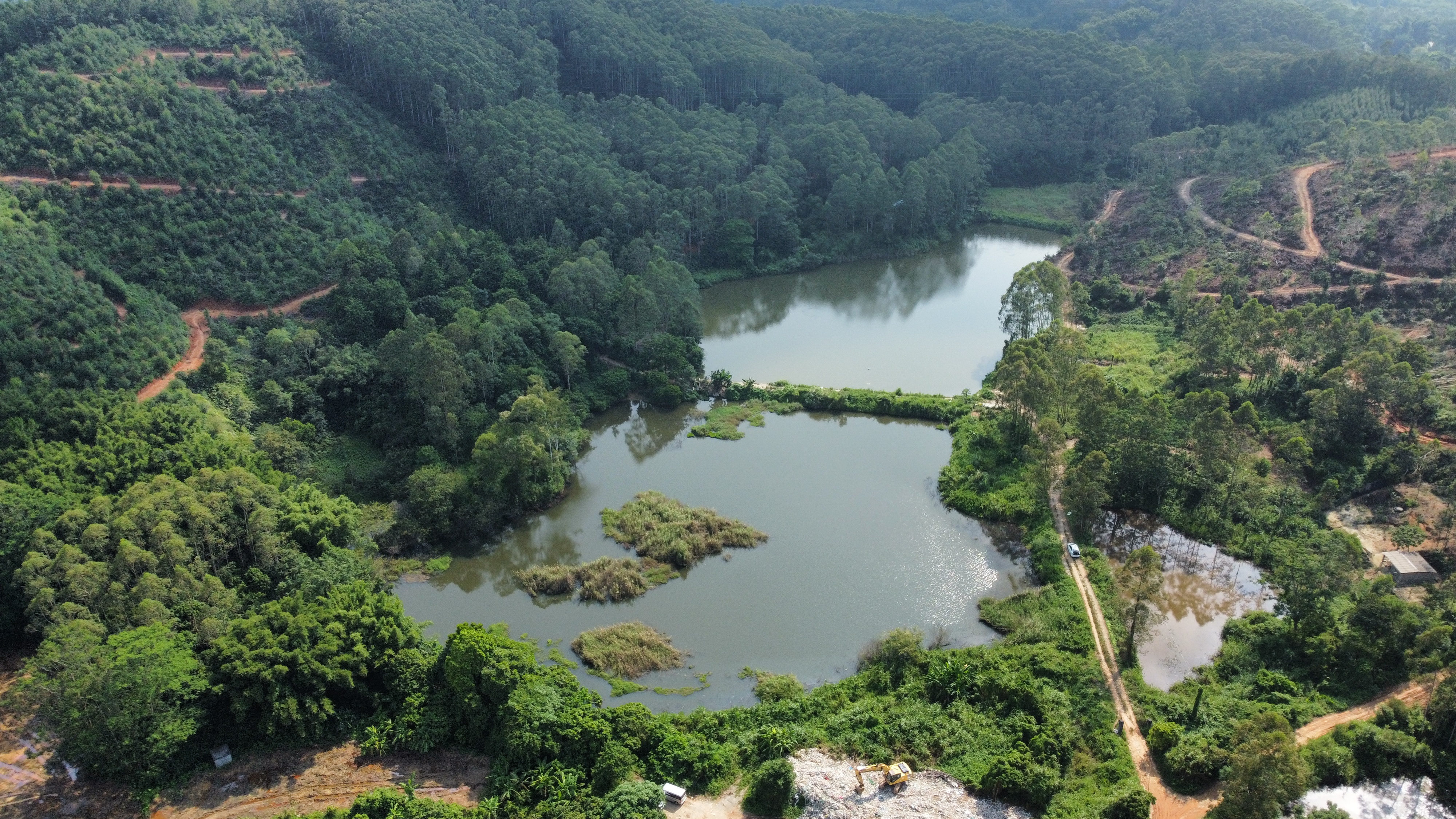 广州增城中新58亩鱼塘年租九万元可做农庄旅游养殖种植原房东7