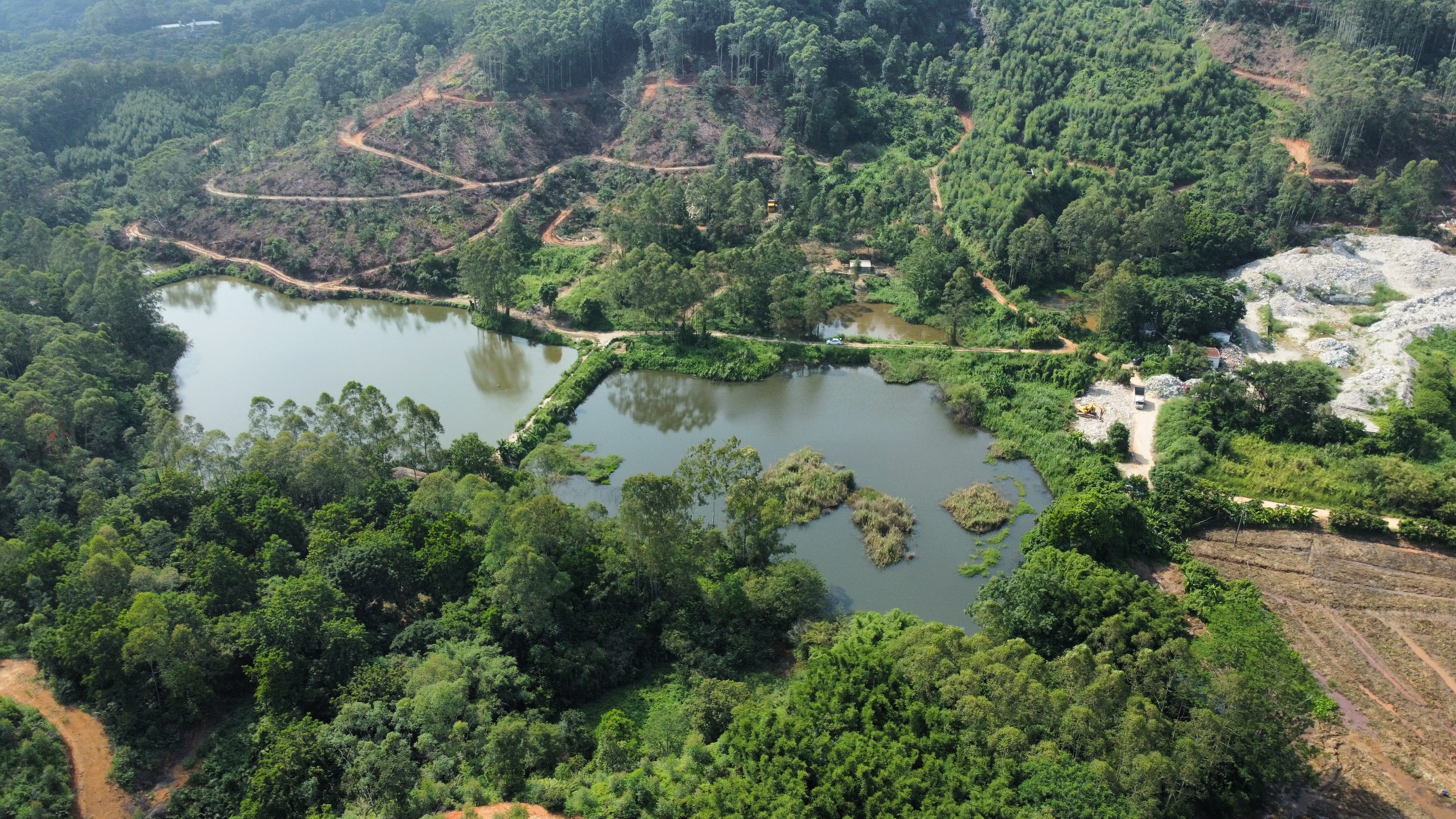 广州增城中新58亩鱼塘年租九万元可做农庄旅游养殖种植原房东5