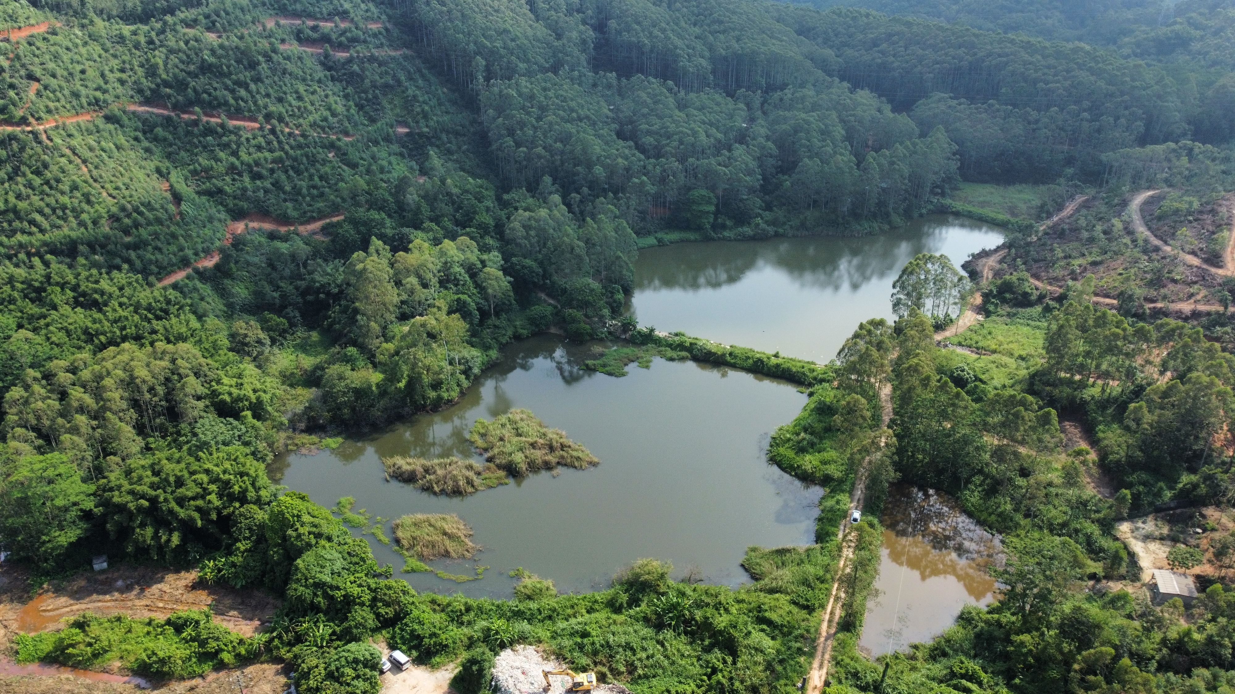 广州增城中新58亩鱼塘年租九万元可做农庄旅游养殖种植原房东1