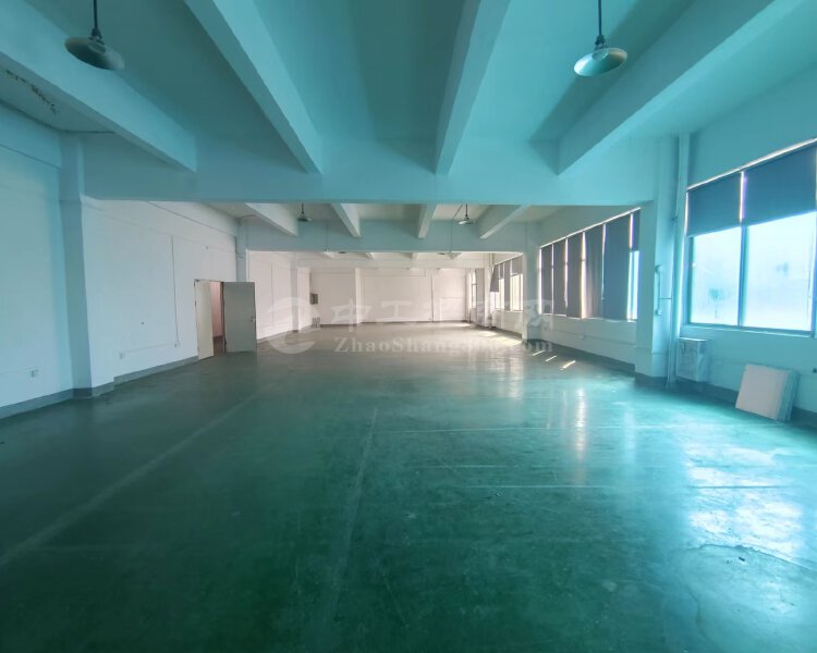 惠阳镇隆独栋全新楼房大小可分租。。
