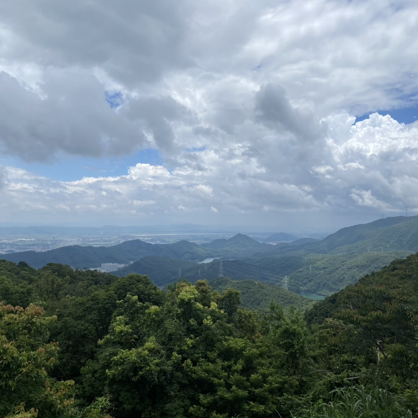 佛山100亩国有土地出售1