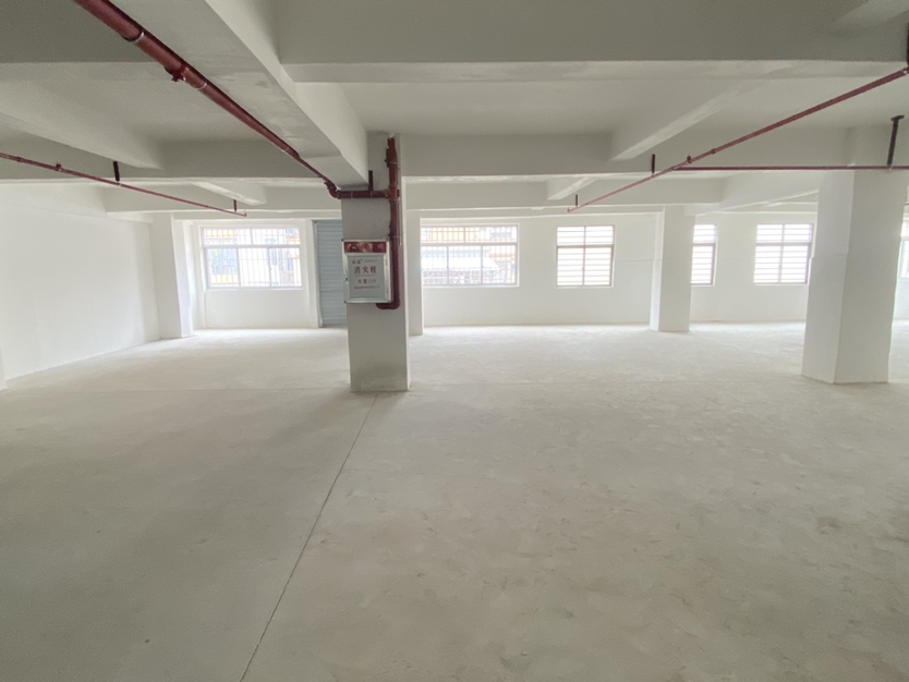 长安镇沙头社区新出标准厂房多层，原房东小面积。可做仓库等行业