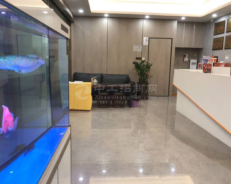 深圳市龙华区清湖地铁站新出一套562平豪华装修办公室