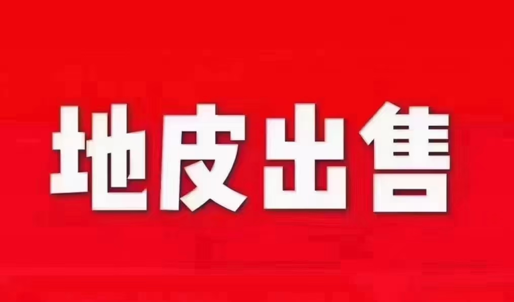 河源市东源县国有双镇出售850万5000方1