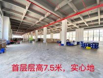 广东江门独门独院全新厂房出售层高7米