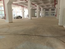 惠阳镇隆独栋全新厂房出租，使用率高。