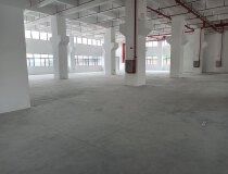 惠阳镇隆独栋全新厂房出租，配套齐全。