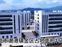 广东省东莞市高新工业区28万平方厂房出租