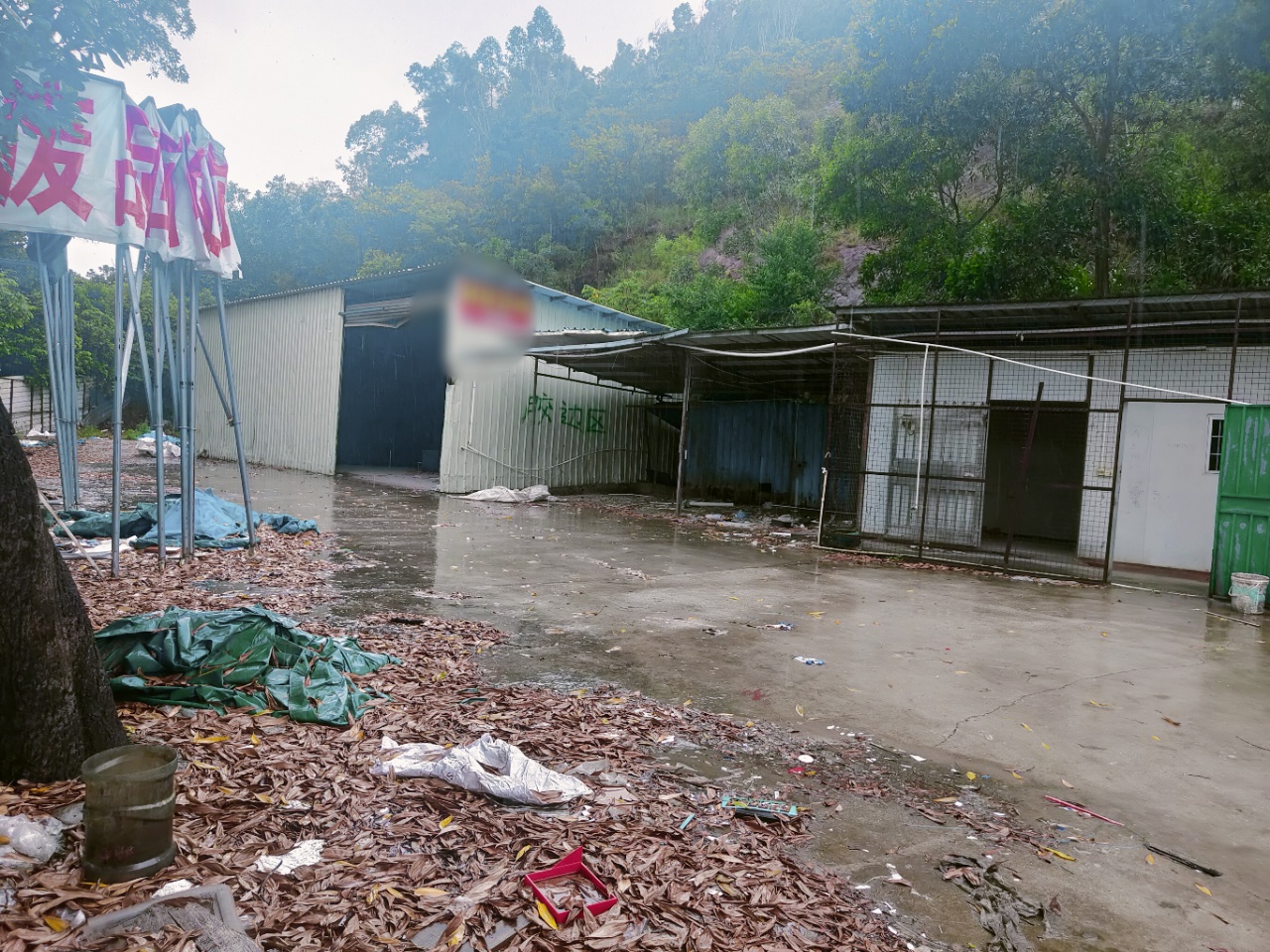 惠阳新圩原房东1000平已硬化空地1