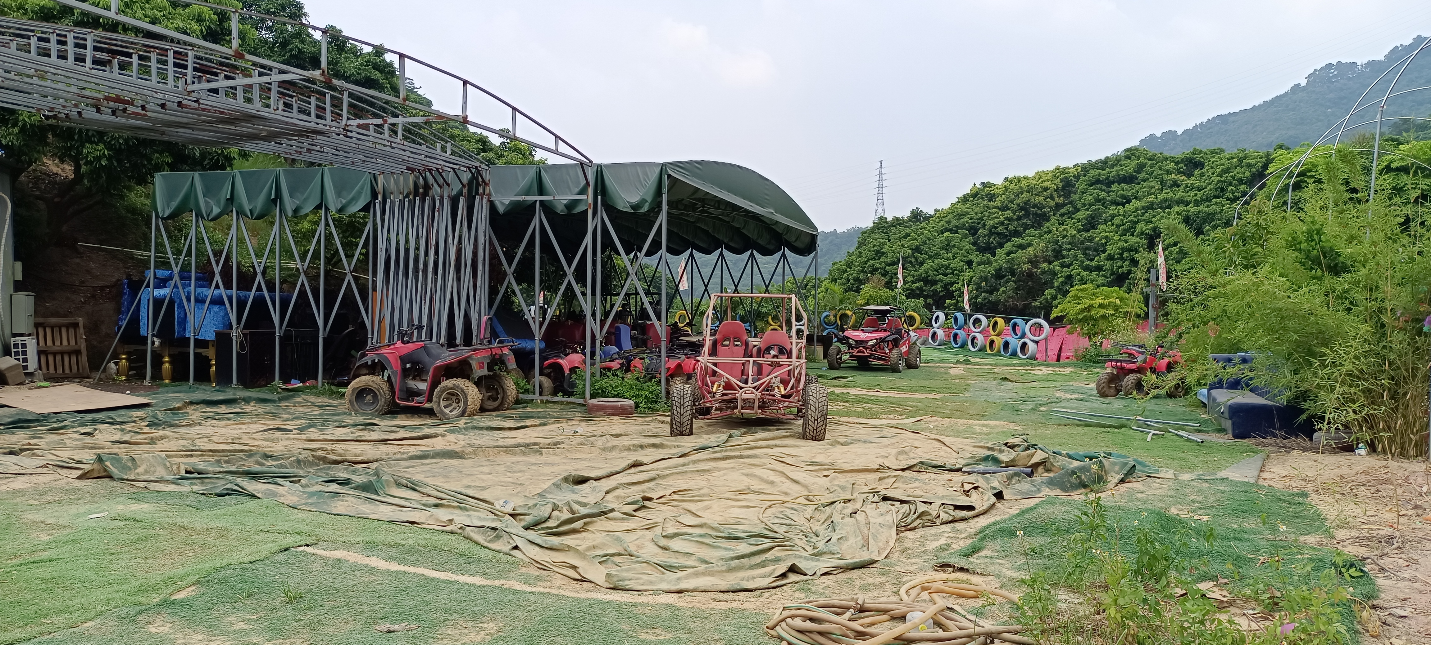 南山西丽新出80亩。农庄，荔枝林出租2