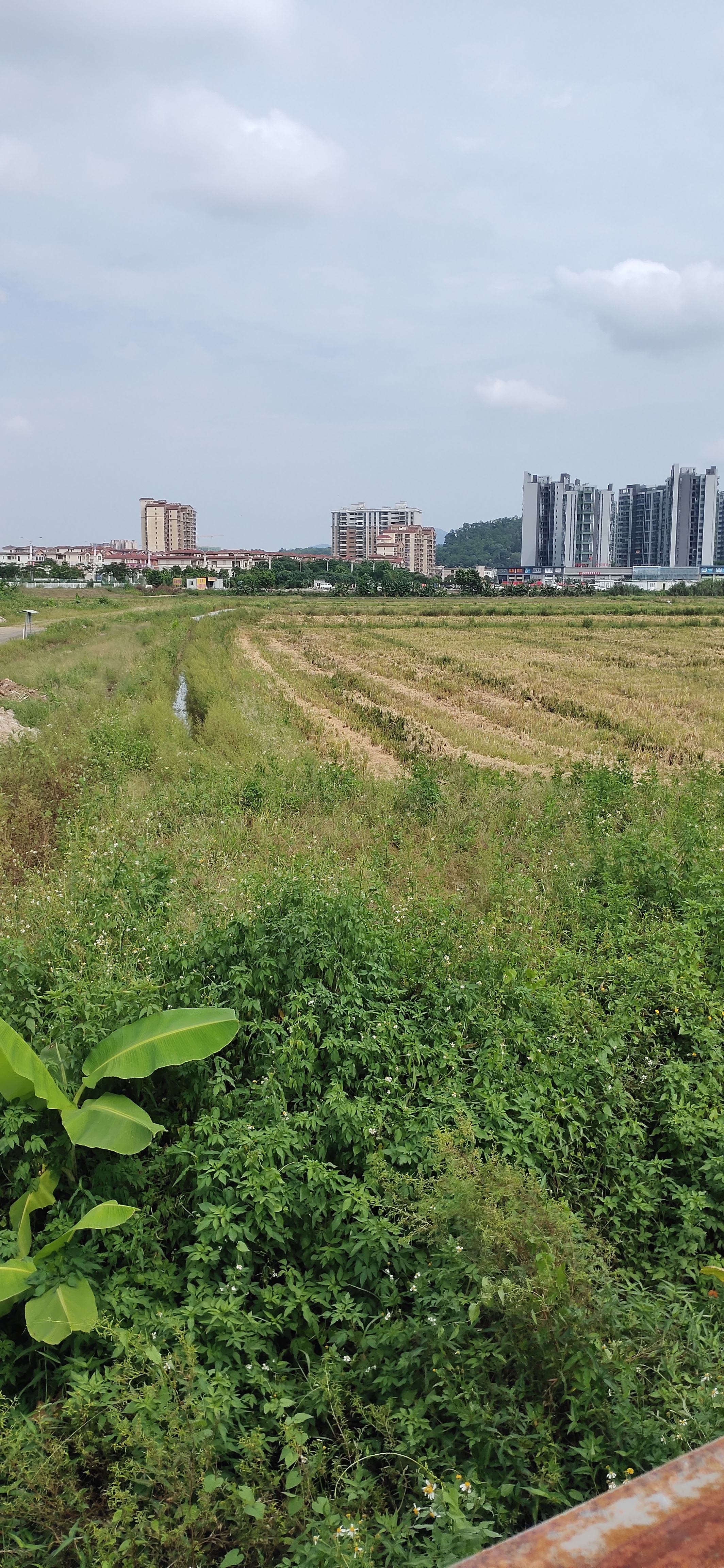 中山市三乡镇周边20亩空地出租，适合做物流配送，建材仓库，2