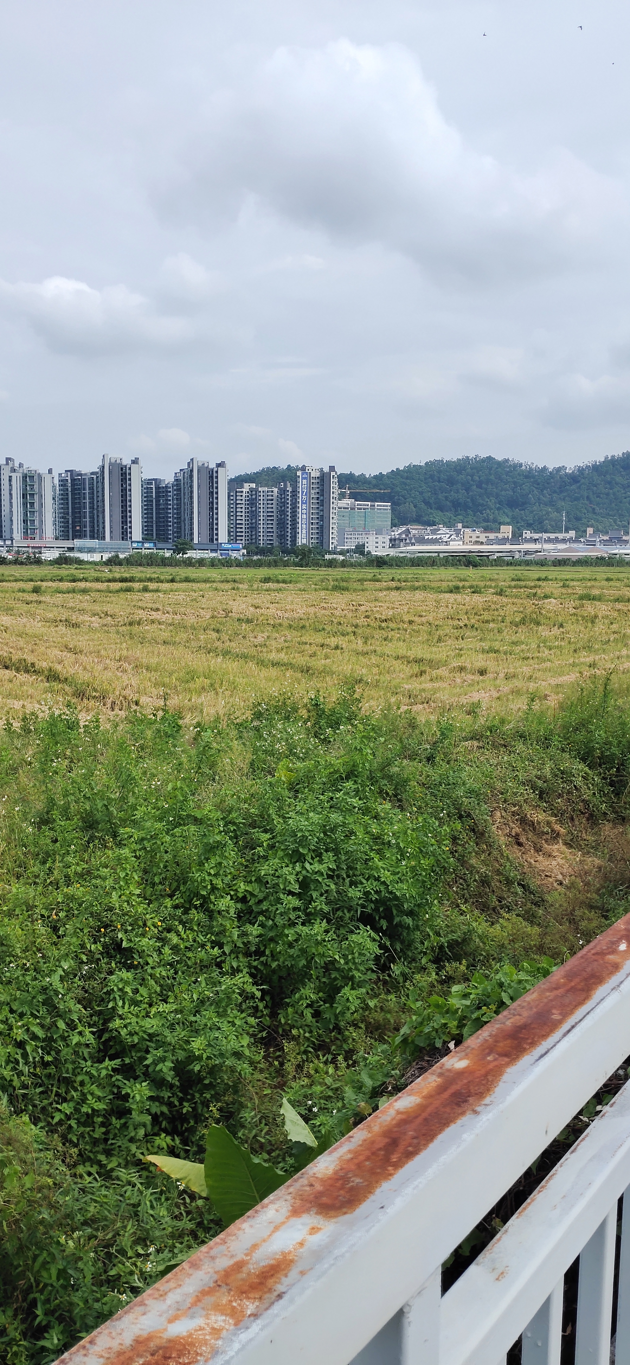 中山市三乡镇周边20亩空地出租，适合做物流配送，建材仓库，4