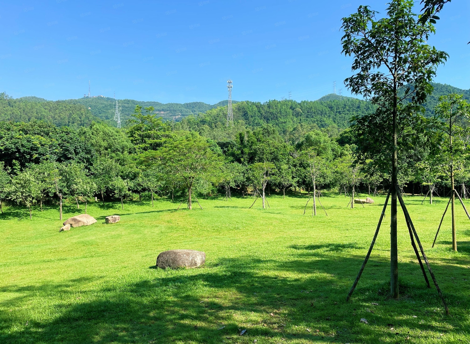 中山市大涌镇绿化空地出租，水库旁可做农庄或网红打卡地1