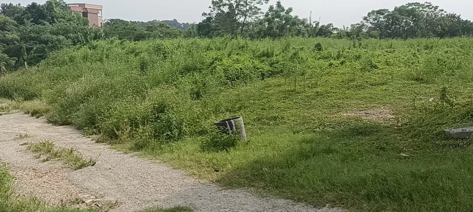 南海区西樵镇环山大道渔粤耕韵旁空地空1