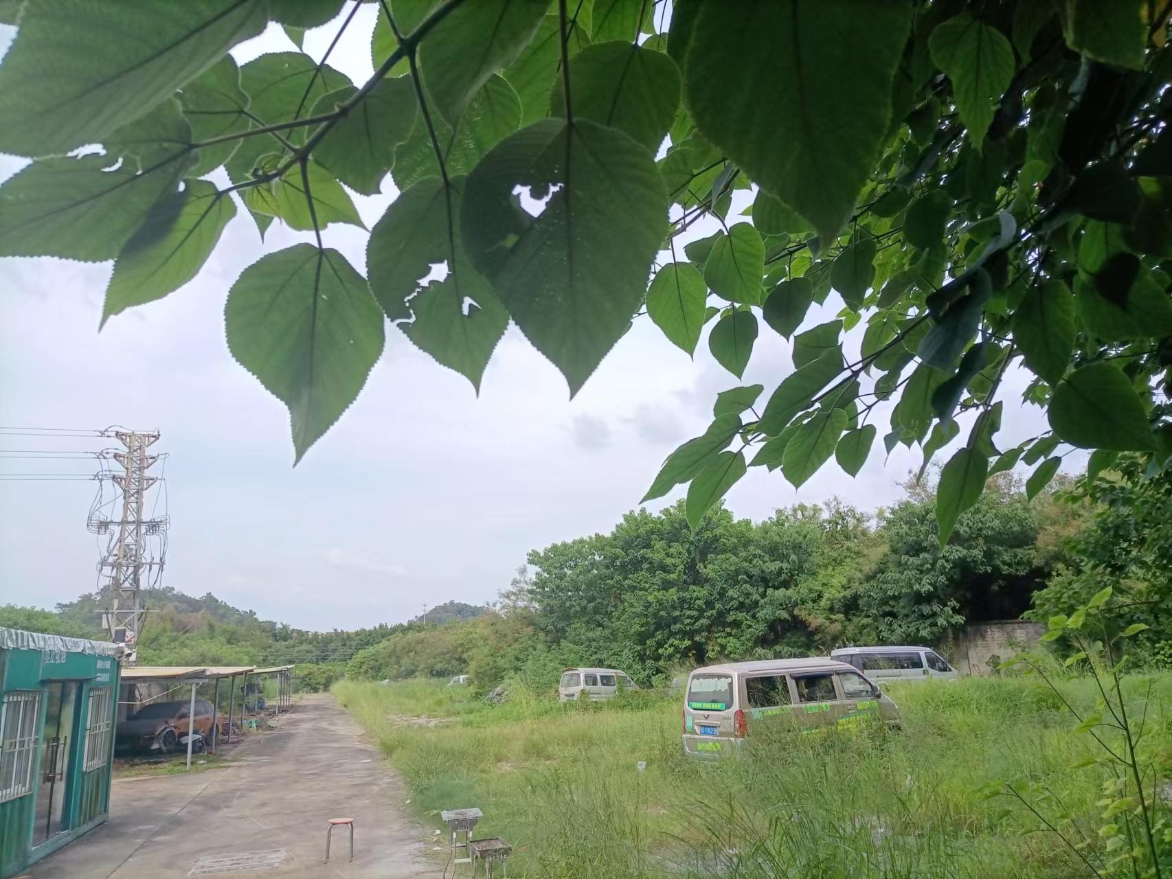 横沥镇石涌村空地出租7000平方2