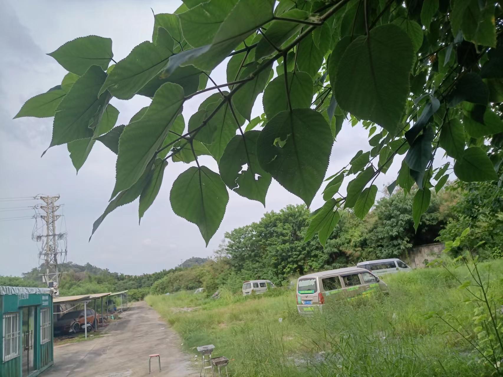 横沥镇石涌村空地出租7000平方1