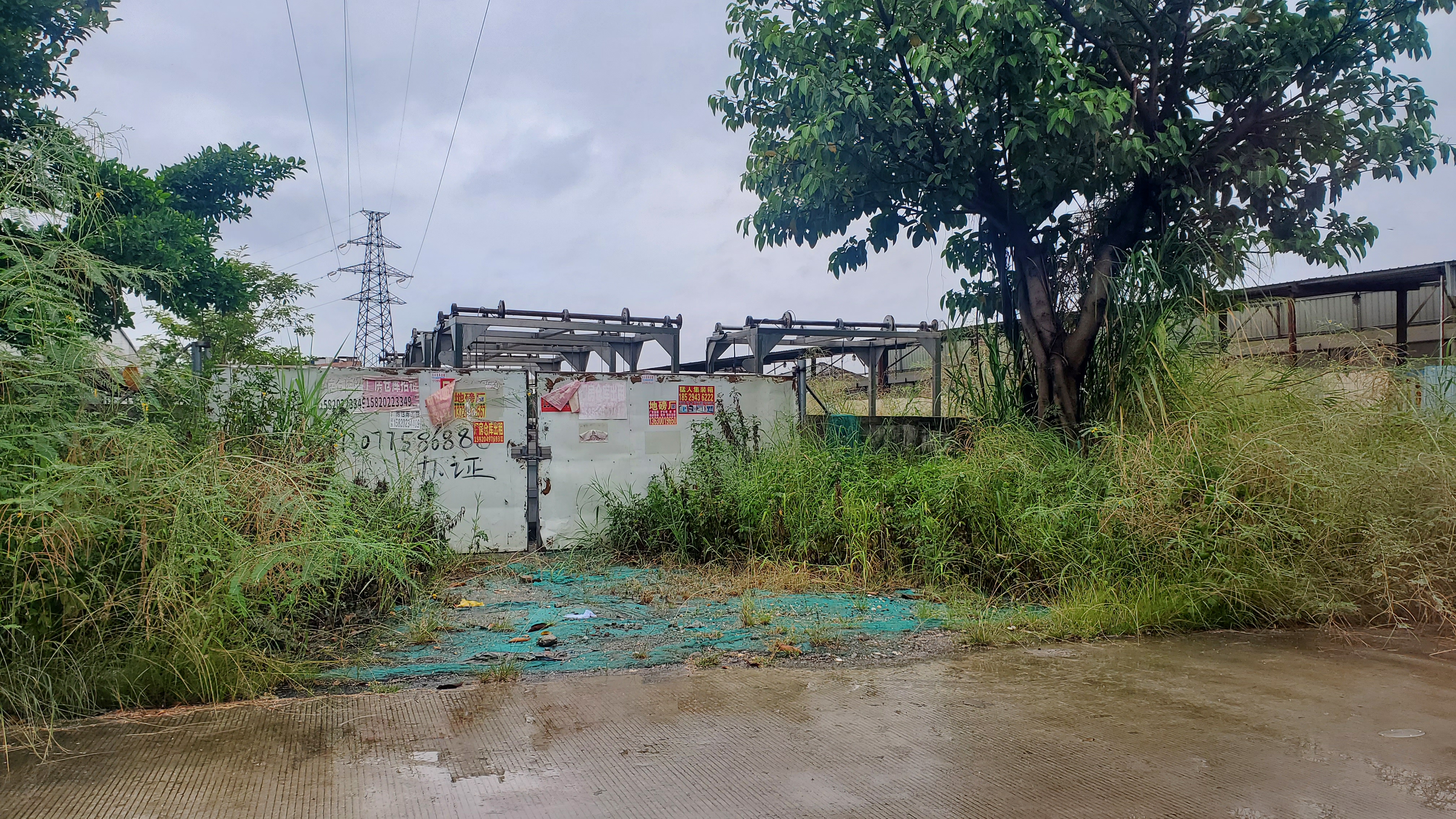 沙湾紫泥工业区大路边空地出租2