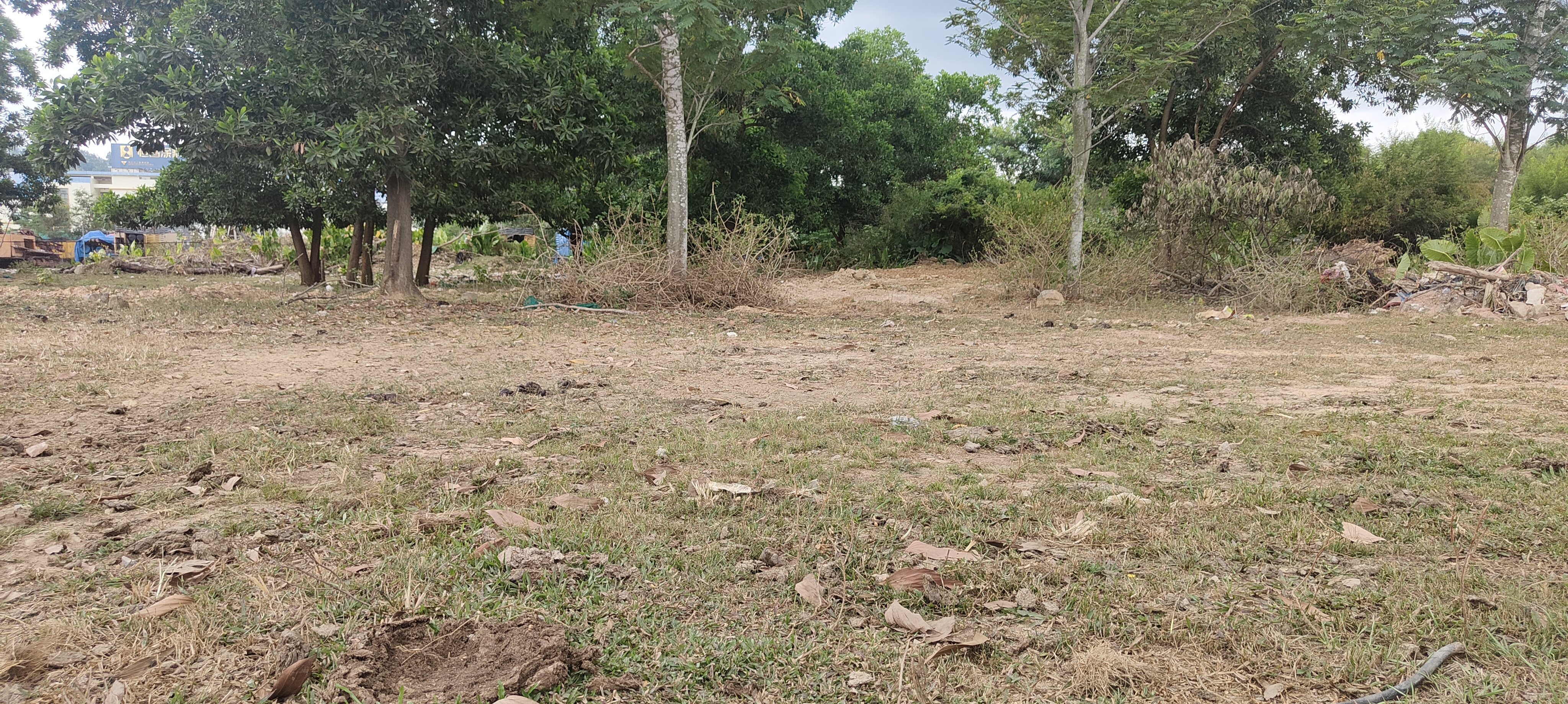 惠阳新圩1000平，原房东空地1