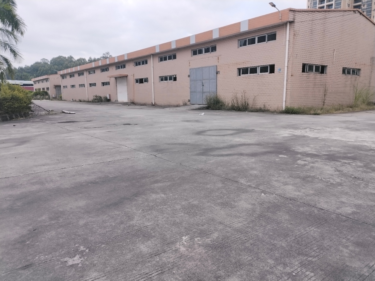 惠州博罗1500平米砖墙钢构铁皮厂房仓库招租高度8米可以分租