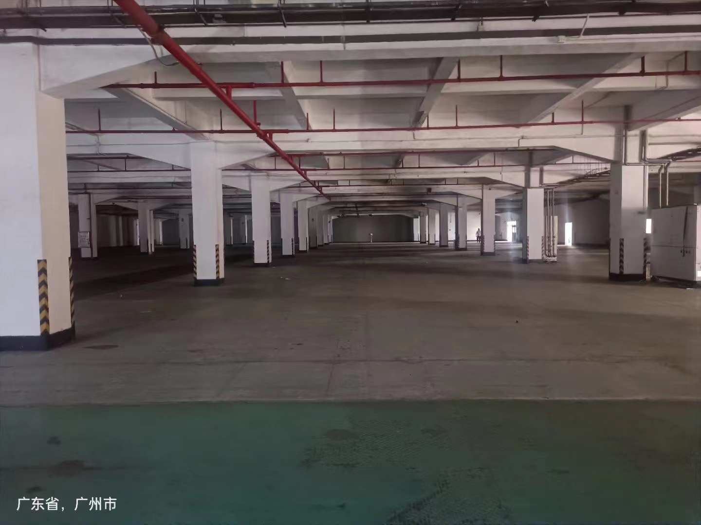 广州增城新塘独院标准厂房仓库出租。