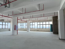 一手房东全新红本厂房单层1500平层重800公斤3顿货梯