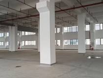 龙华中心红本全新红本厂房出售M1工业用地标准厂房