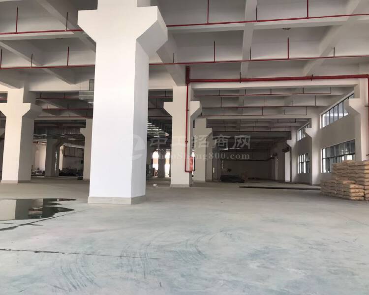 惠阳镇隆独栋全新楼房出租，赠送免租期长。
